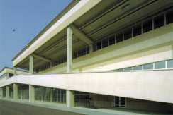 Capannoni e magazzini Capriolo